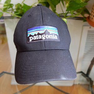 Patagonia Cap